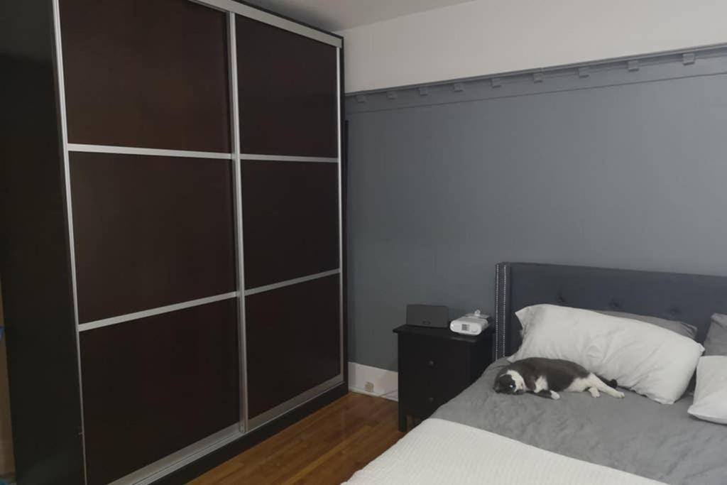 Apartment Great Location Large Kings Downtown *