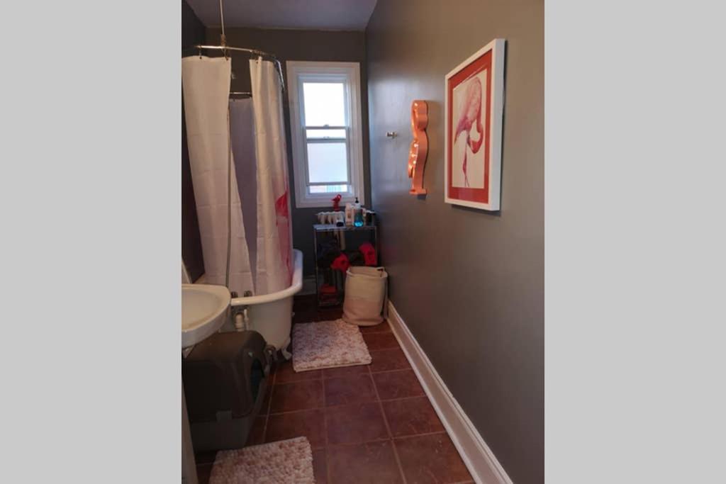 Great Location Large Kings Downtown