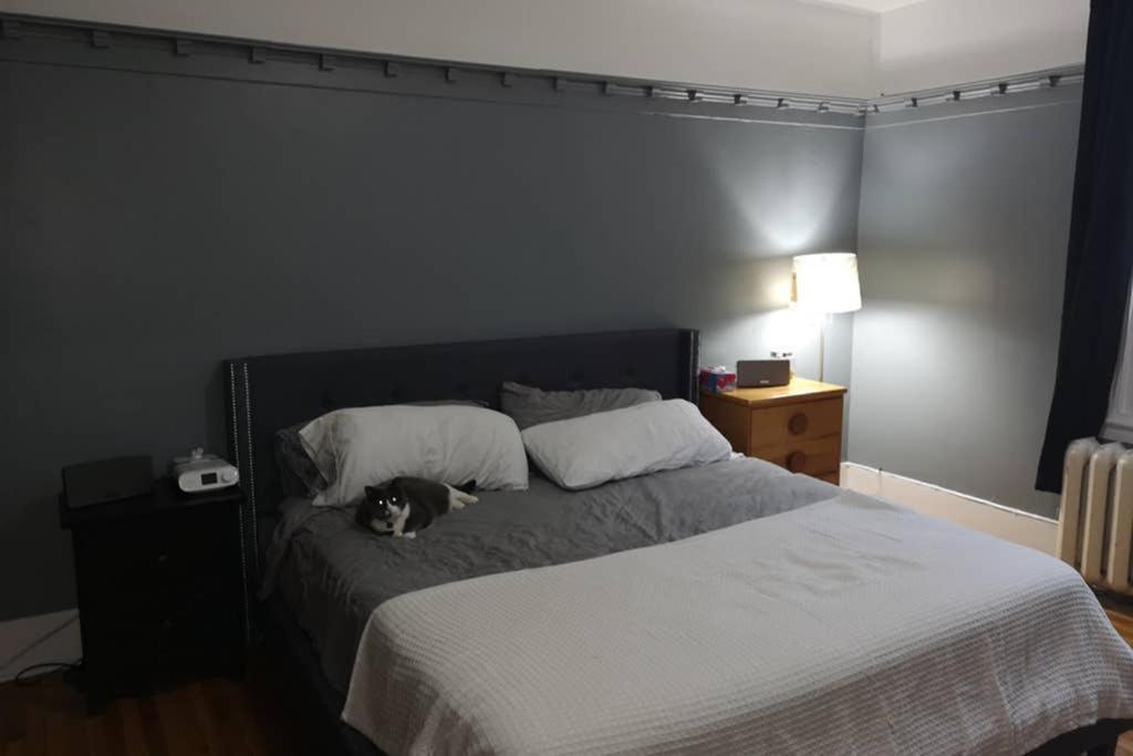 Great Location Large Kings Downtown Montreal