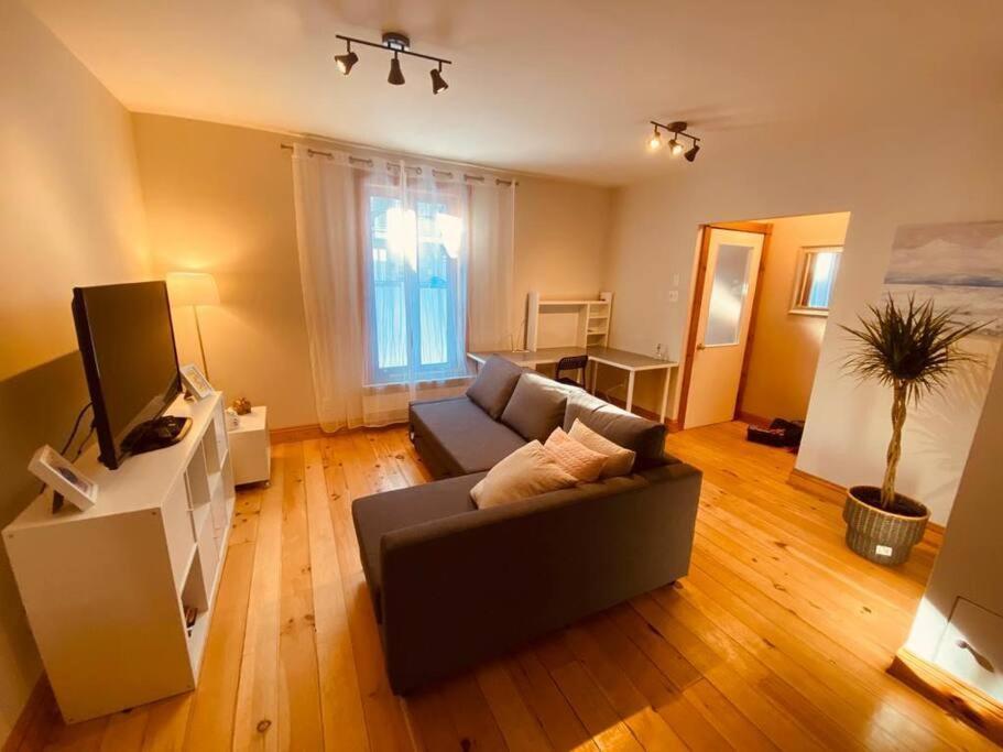 Apartment Entire In Plateau - Perfect Location *