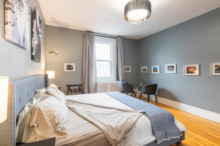 Great Location Large Kings Downtown Apartment