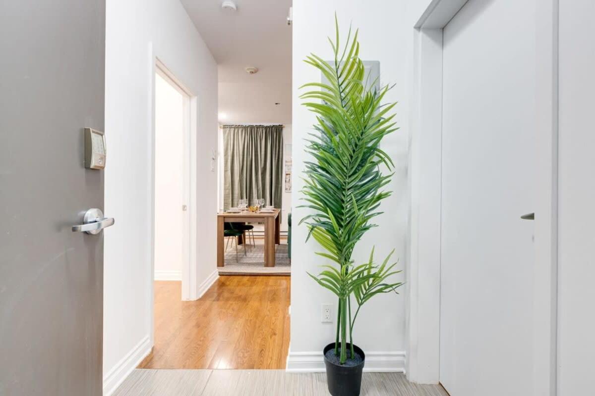 Apartment M11 Beautiful Cozy 2br Wac Perfect Location