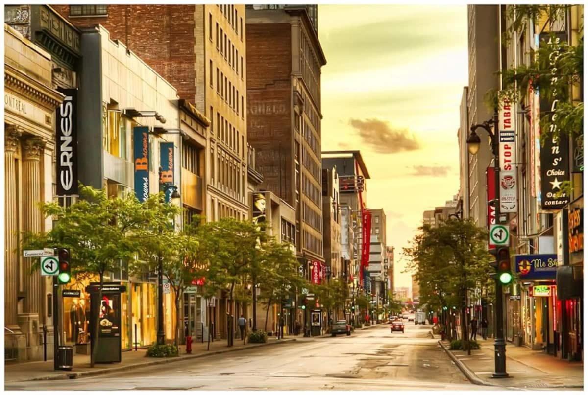 M11 The Simpsons 3br In The Heart Of Mtl