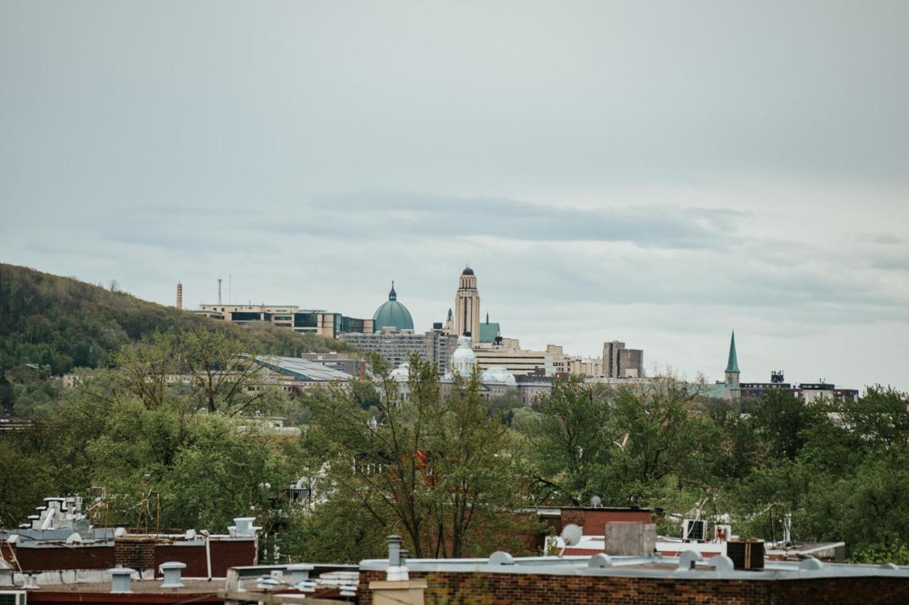 New Spacious And Cozy 2bdr Montreal