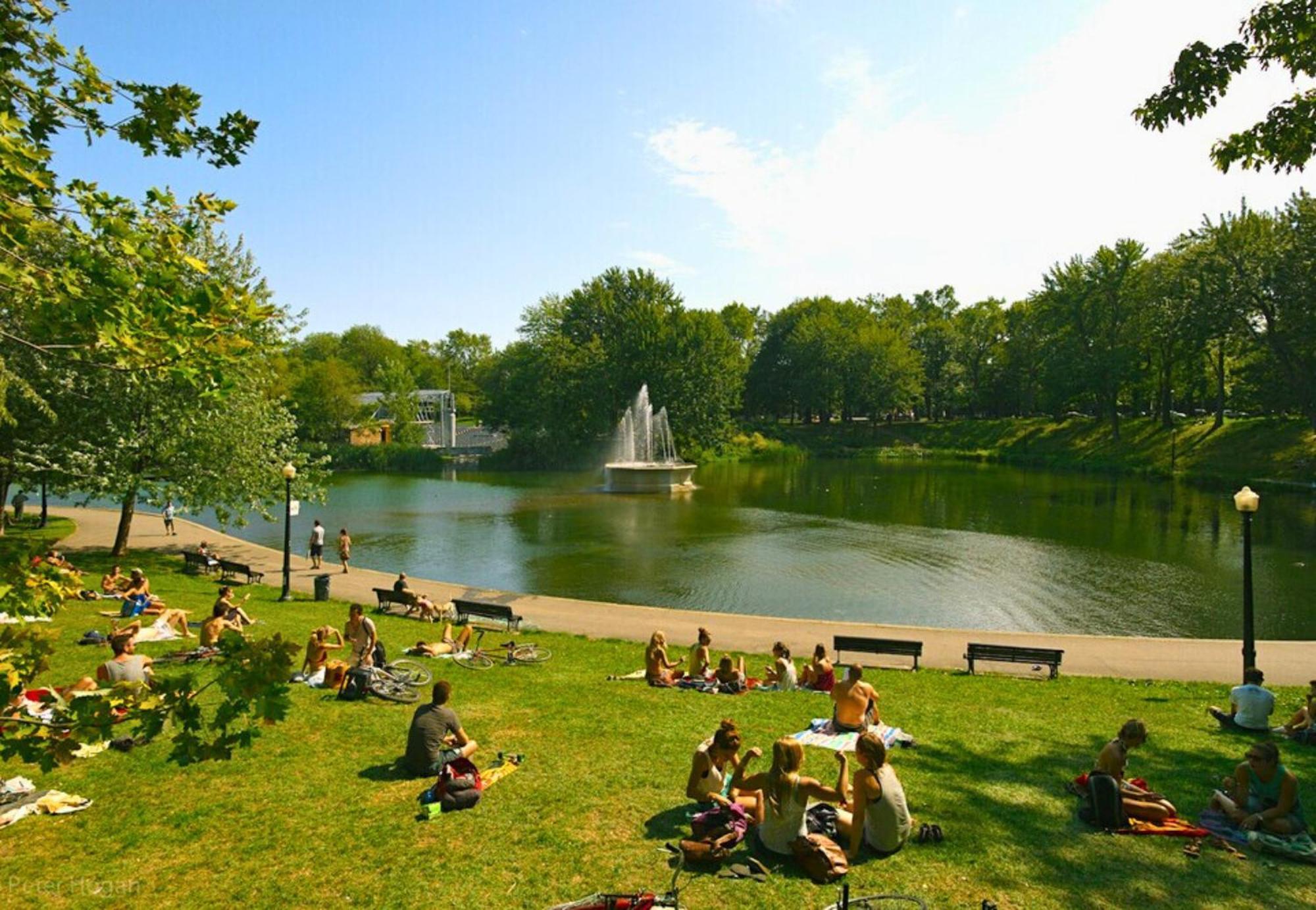 Liv Mtl Plaza 3*