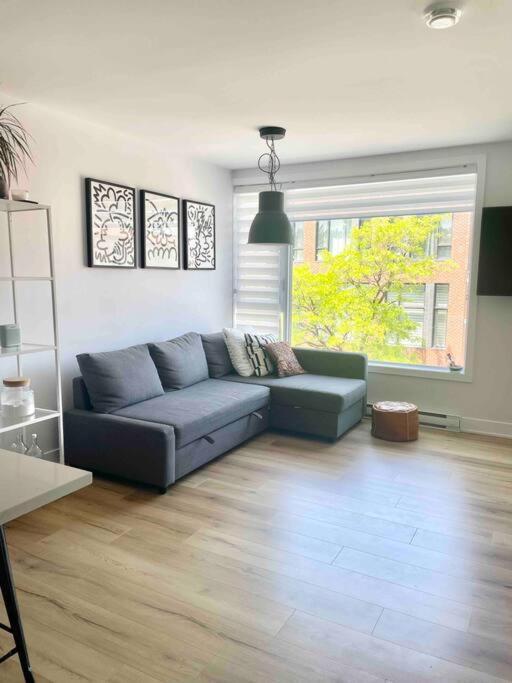Nouveau Loft De Luxe - Terrasse Privee Apartment *