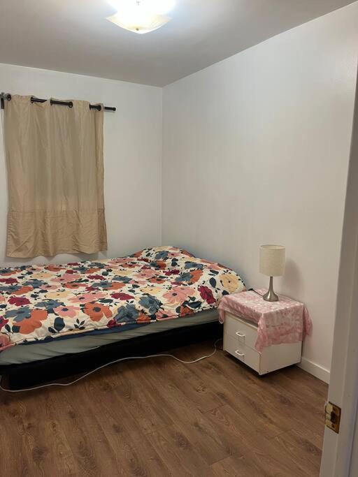 New Renovated Peaceful With Parking *