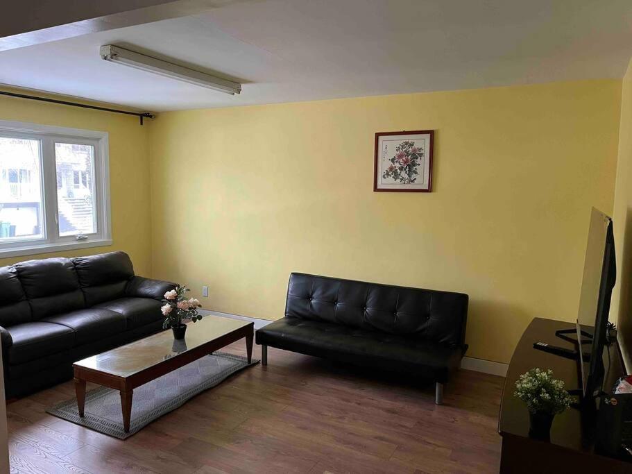 New Renovated Peaceful With Parking *
