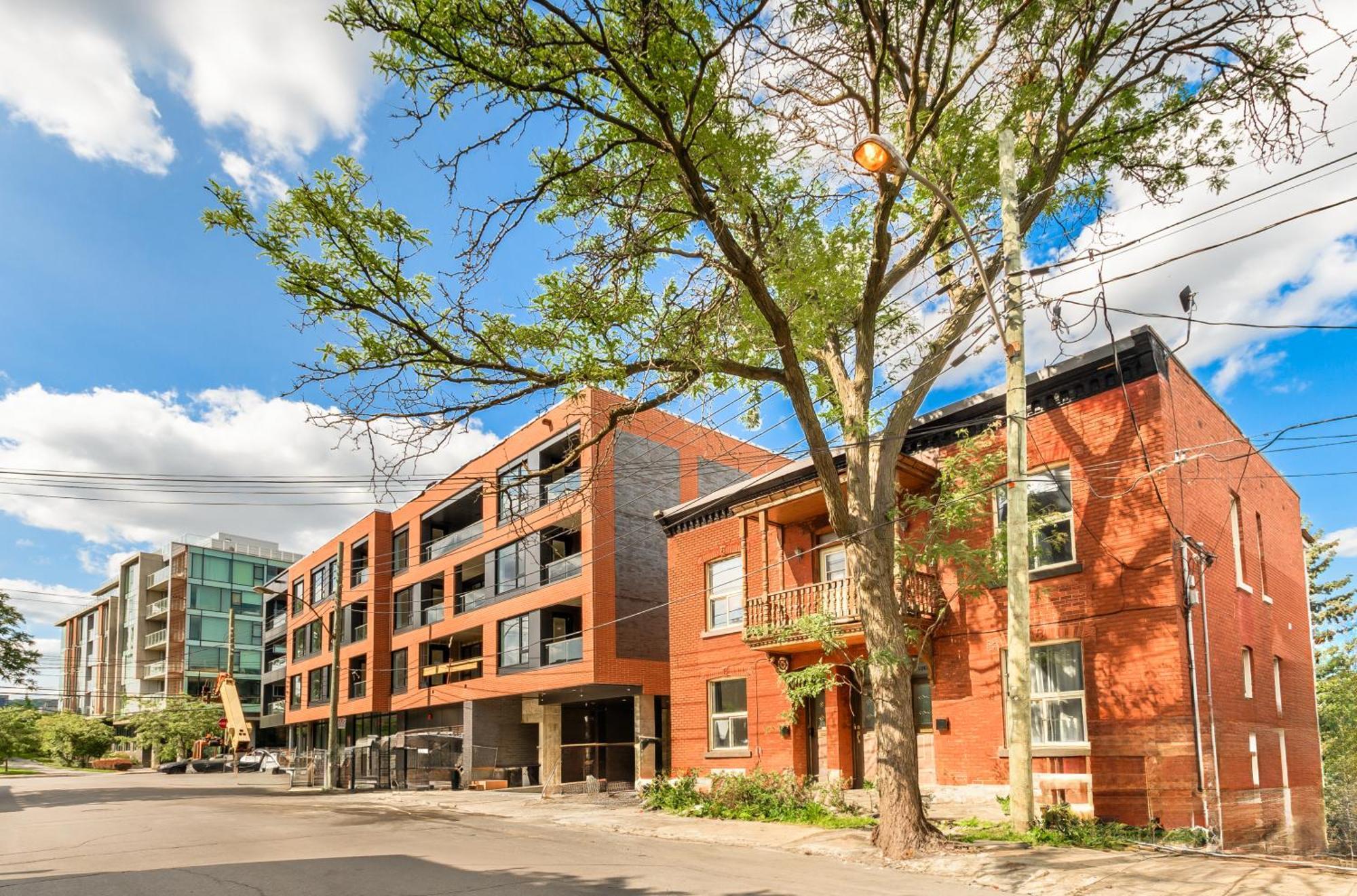 Casakaia Cozy 2 Bdr With Backyard And Parking Apartment