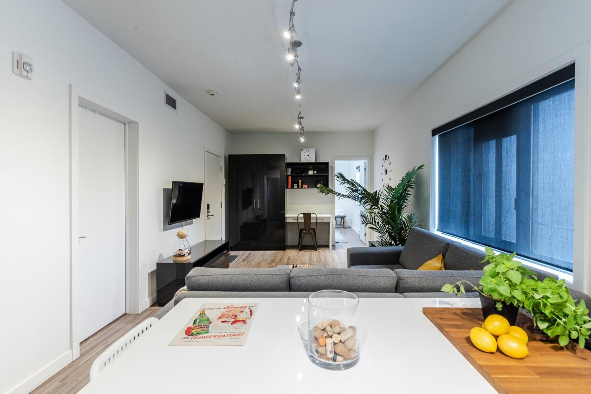 Apartment Castle Lofts