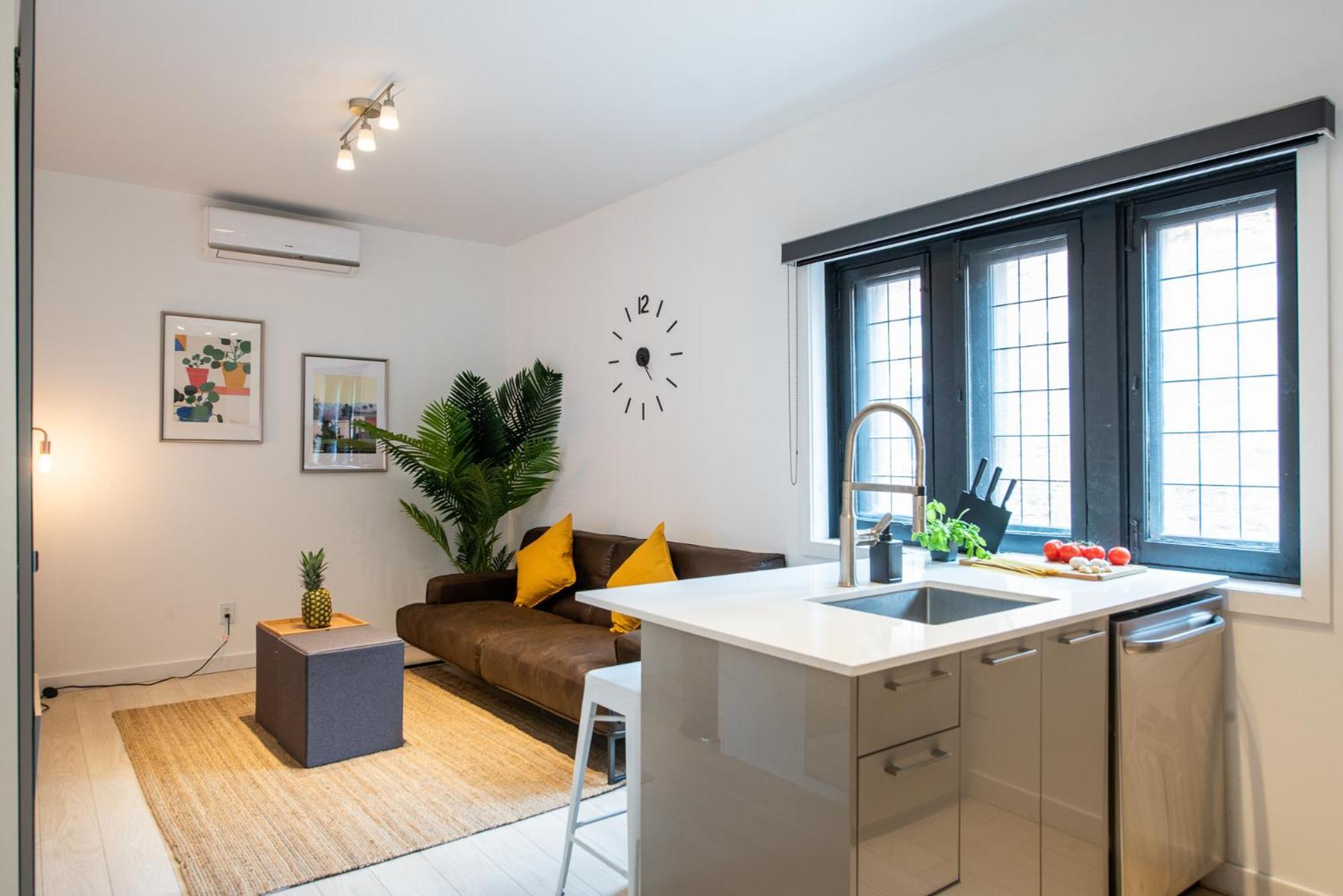 Castle Lofts Apartment