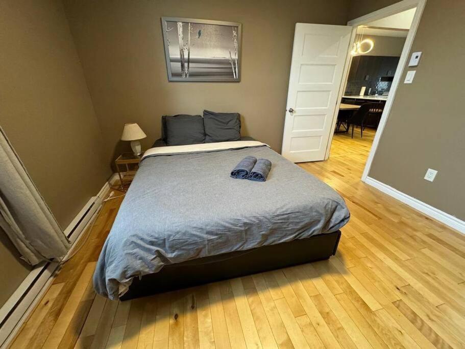 Charming 3br In Montreal, 15 Min To Dt Apartment