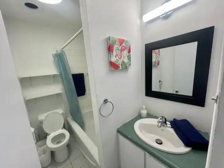 1person Full Kitchen C Homestay Montreal