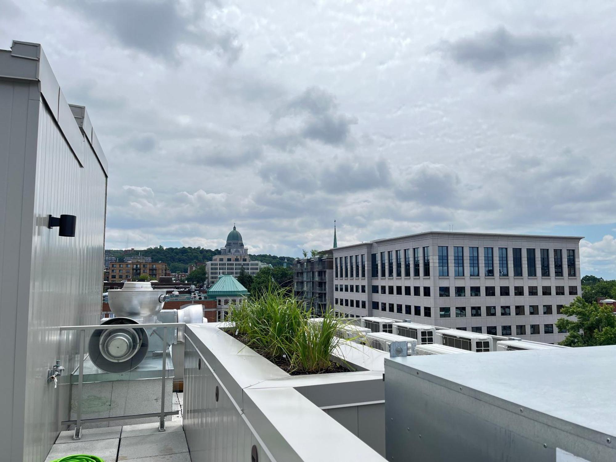 Modern 1br W Balcony Free Parking & Gym Near Metro & Downtown Apartment *