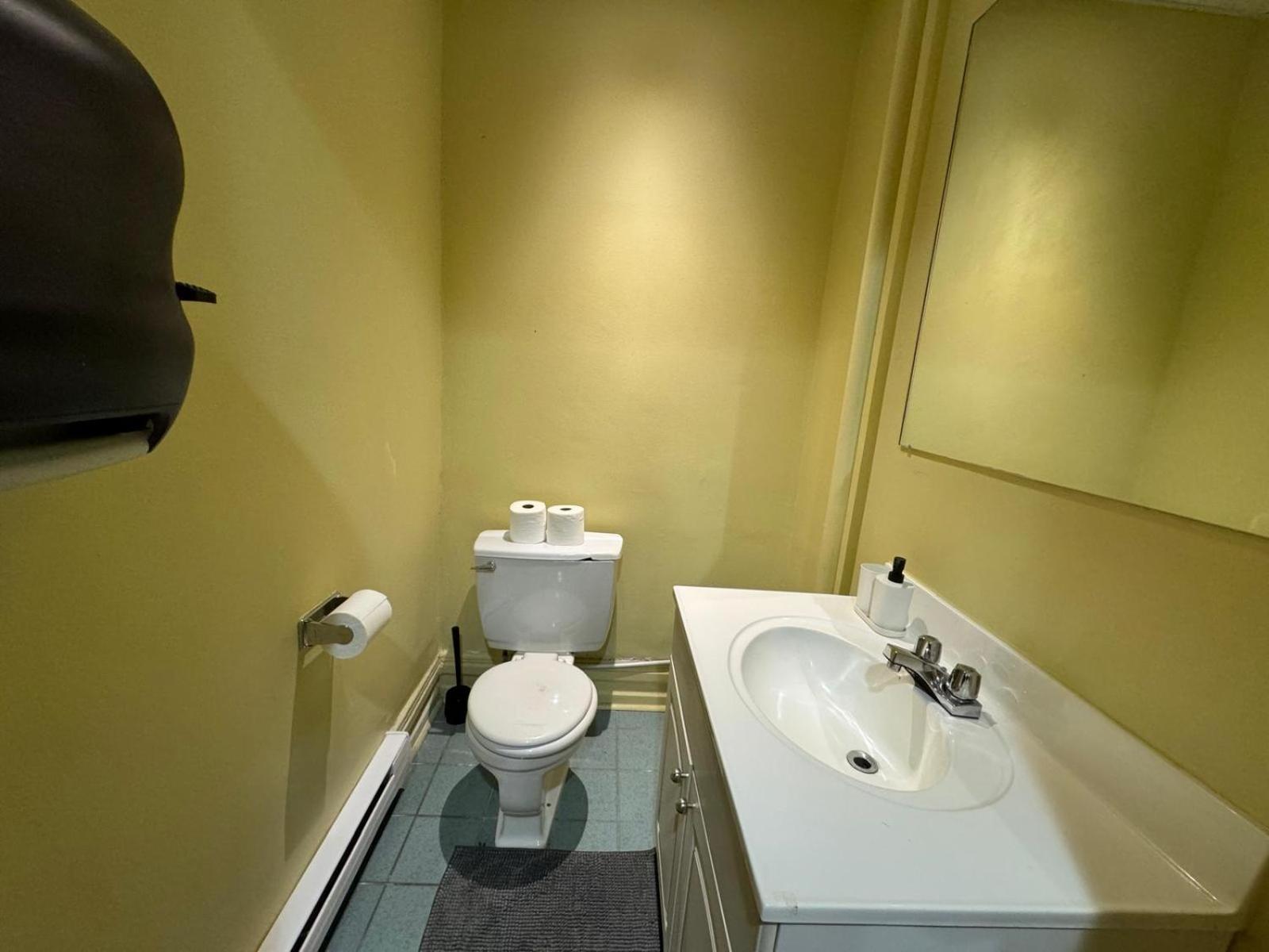 Nightlife With Sophistication & Style - Newly Renovated Downtown & Plateau * Montreal
