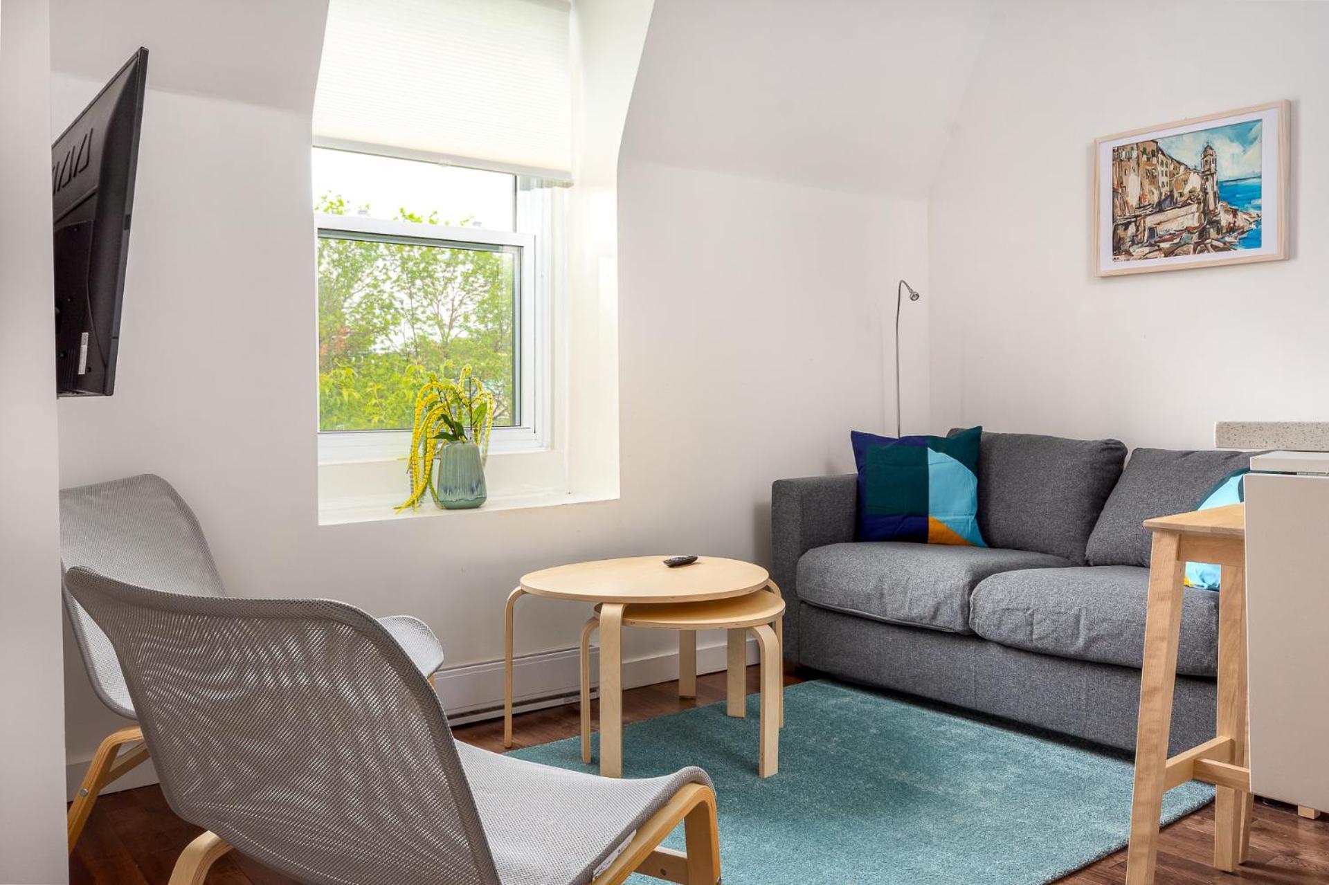 Apartment Amazing Three Bedroom In Facing A Park Montreal