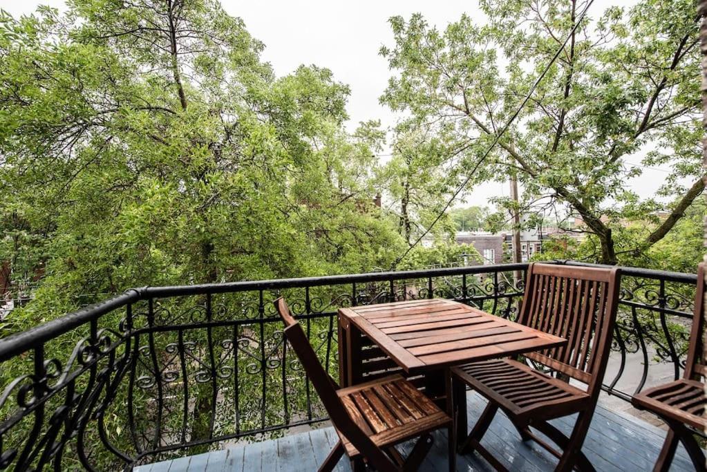 Cozy Skylight Apartment, Pets Welcome! Apartment