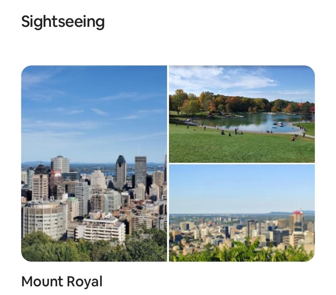#2 - Big Loft - Plaza St-hubert