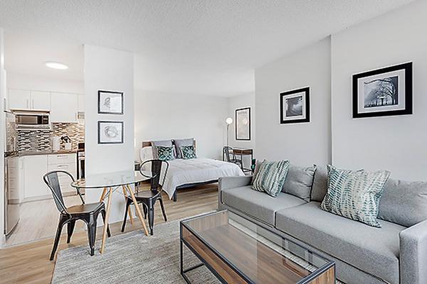 Apartment One Bedroom Oasis Steps Away From Mount Royal