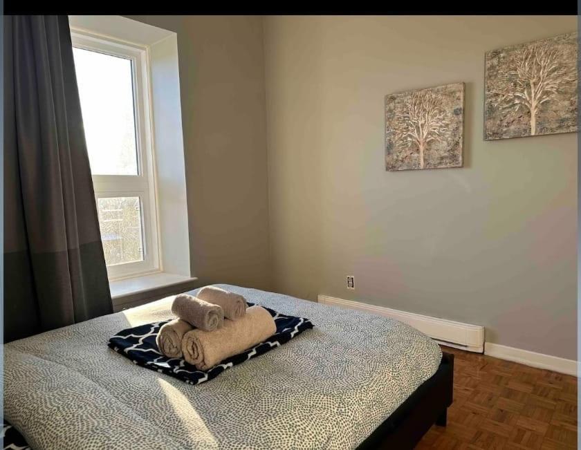 Apartment St Denis Family 4 *