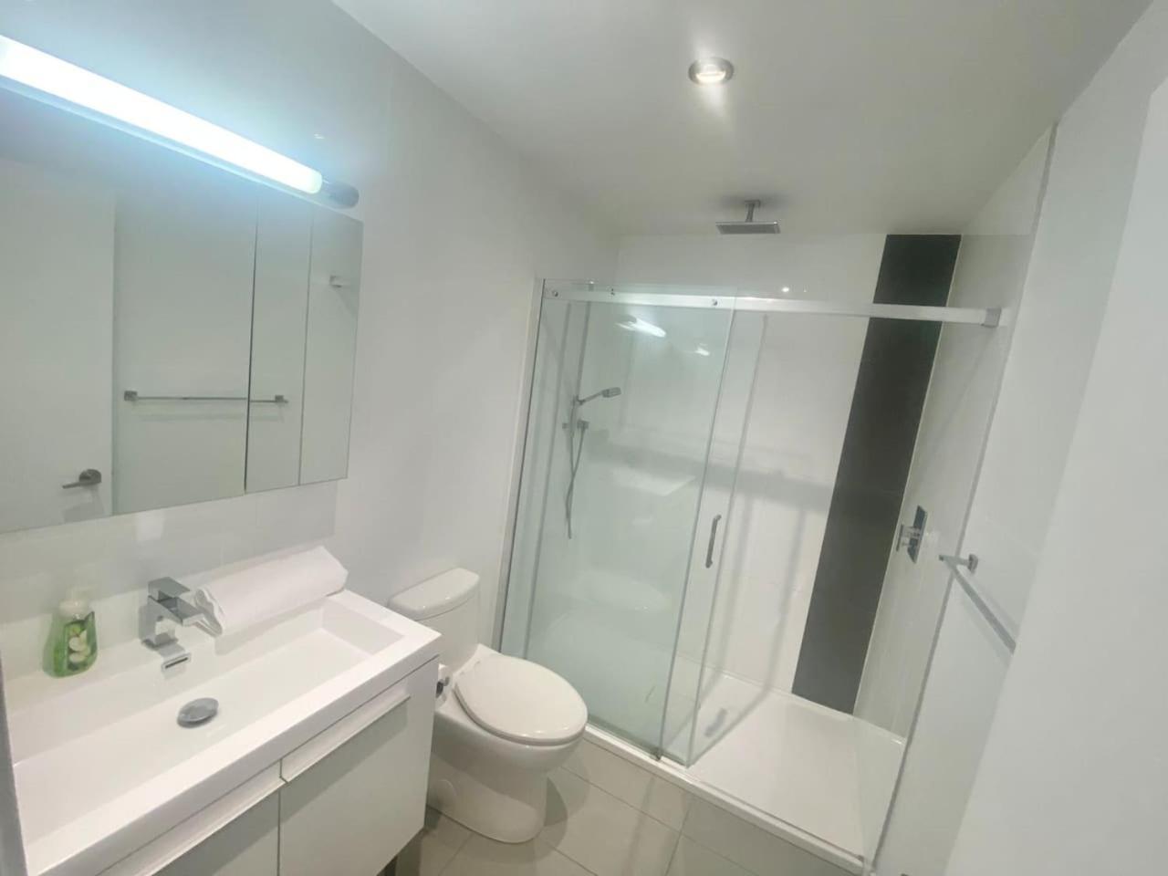 Amazing Loft In Old Portc Zm9 Apartment Montreal