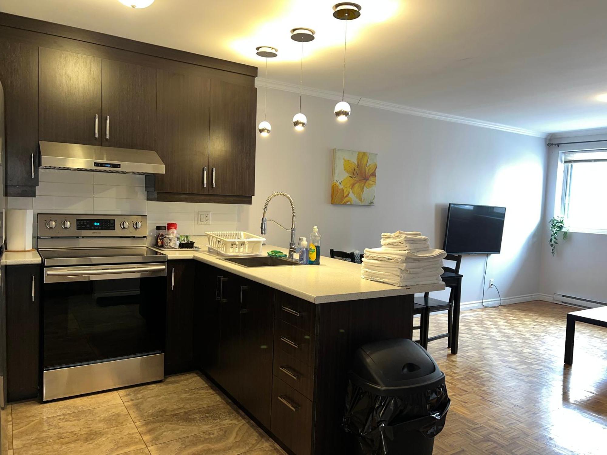 St-denis Apartment Montreal