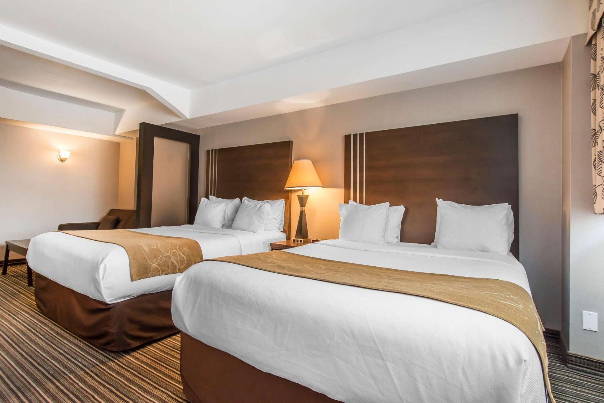 Comfort Downtown 3*