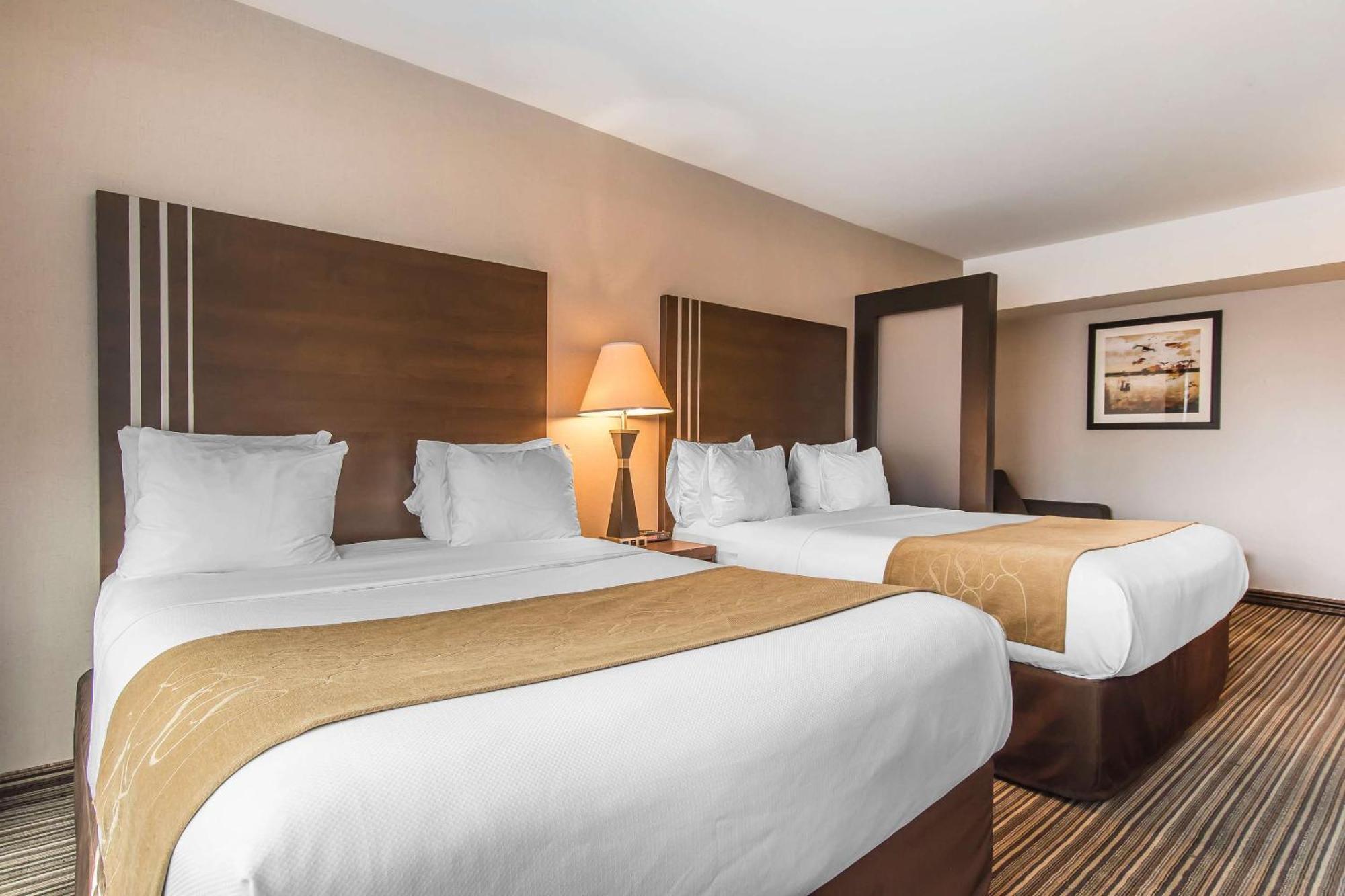 Comfort Downtown Hotel