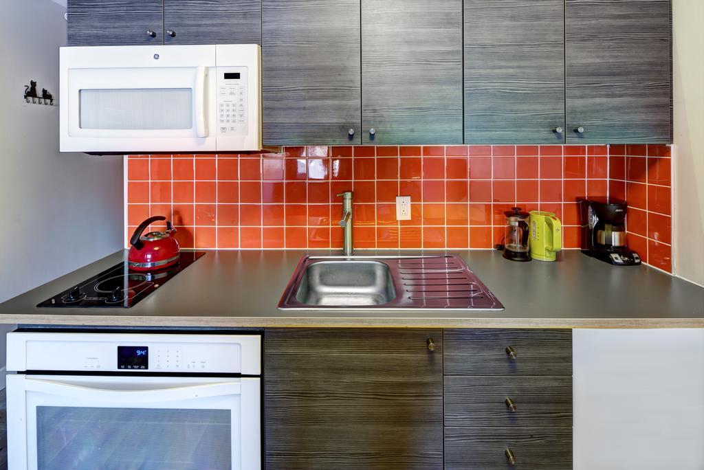 Apartment Rue Parthenais Montreal