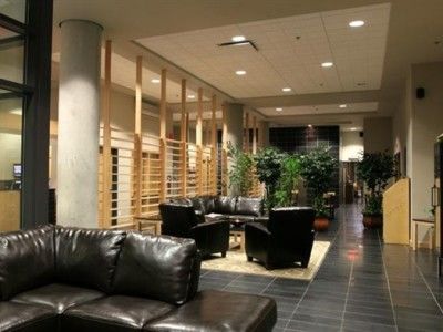 Le Dauphin Centre-ville