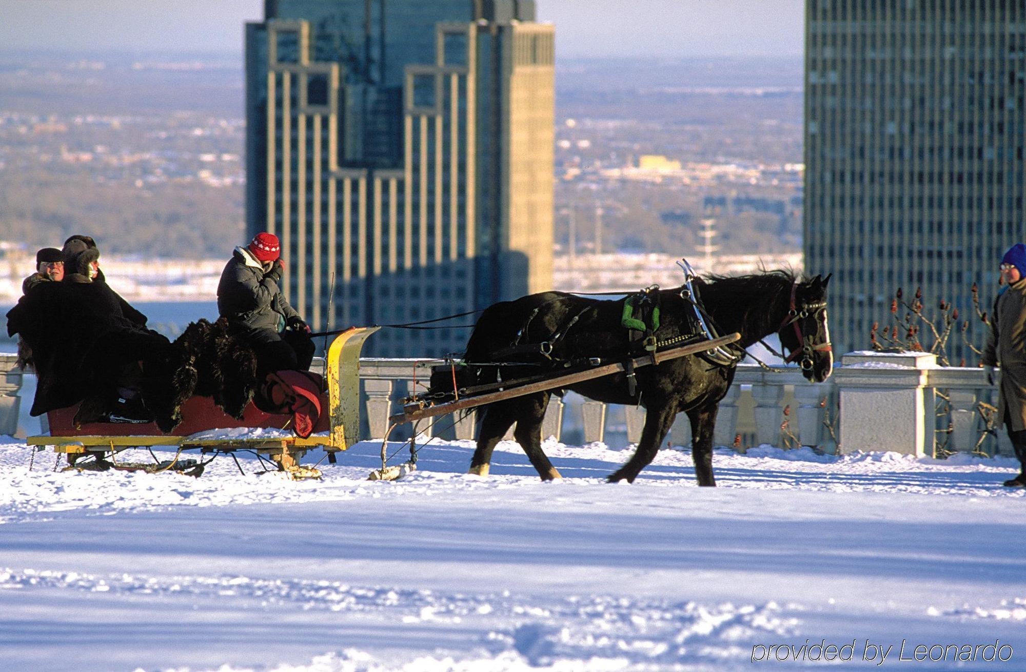 Hotel By Marriott Westmount Montreal