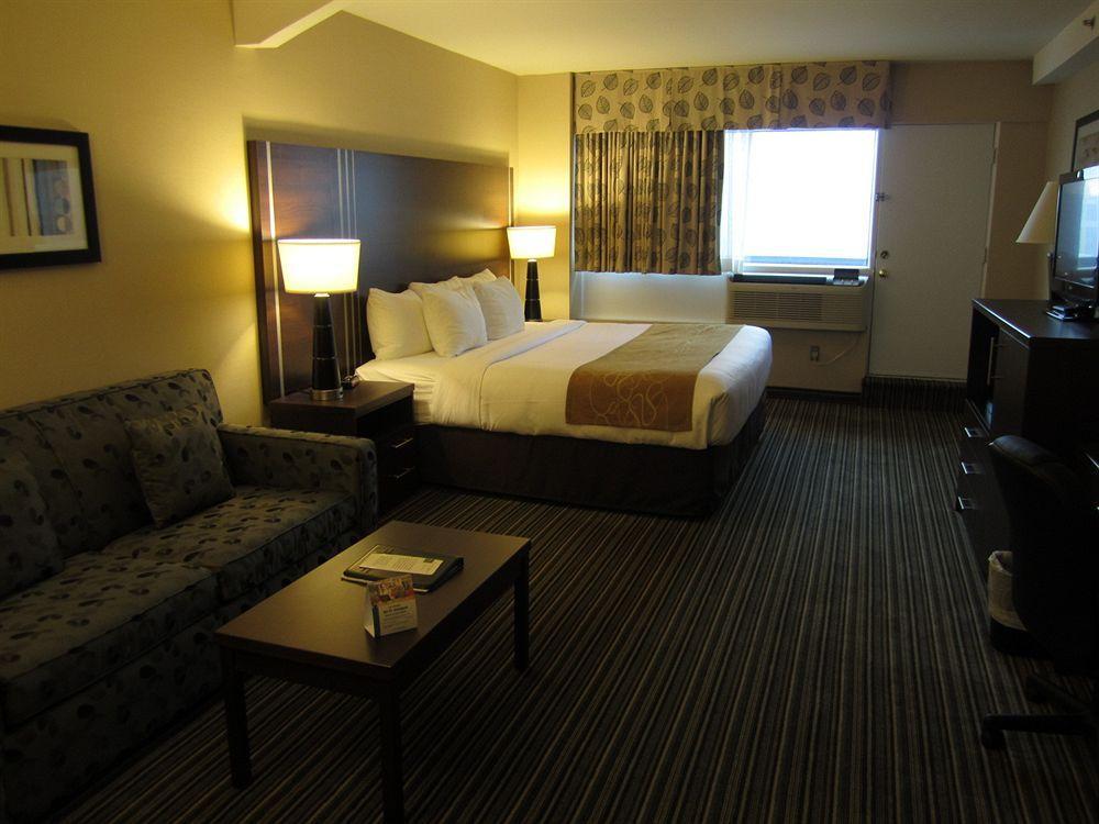 Comfort Downtown Hotel