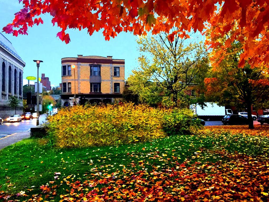 Bon Soleil * Montreal