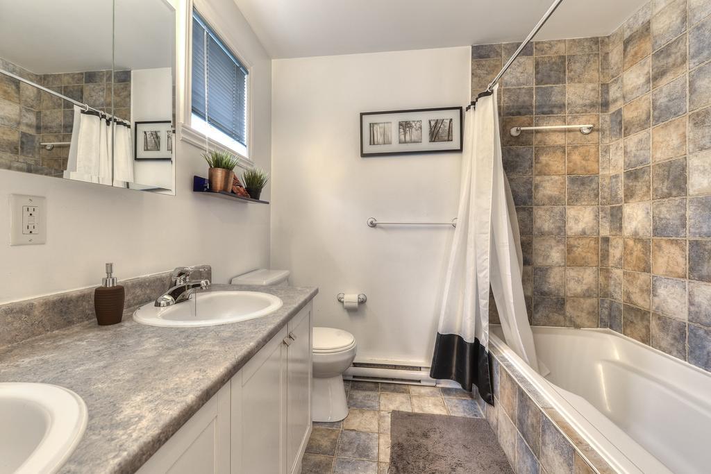 1535 Rue St Jacques Apartment Montreal