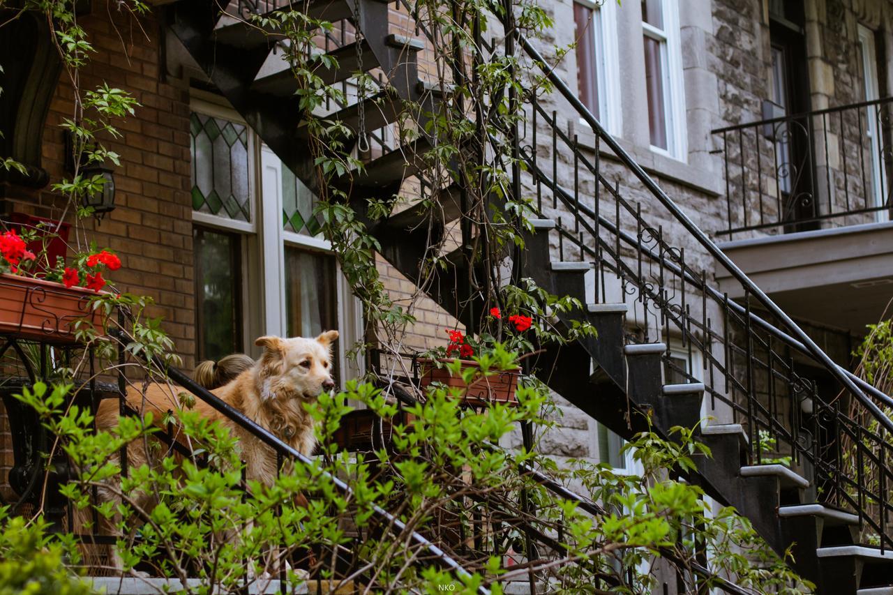 Pied-a-terre Mont-royal Hostel *