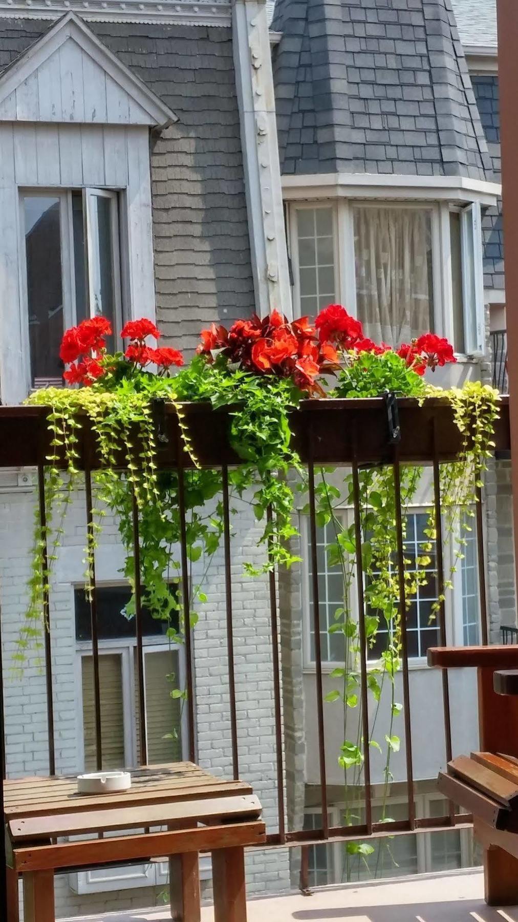 L'escogriffe Bed & Breakfast *