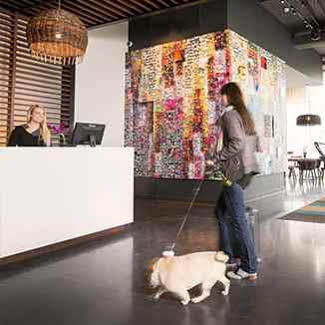Alt Hotel