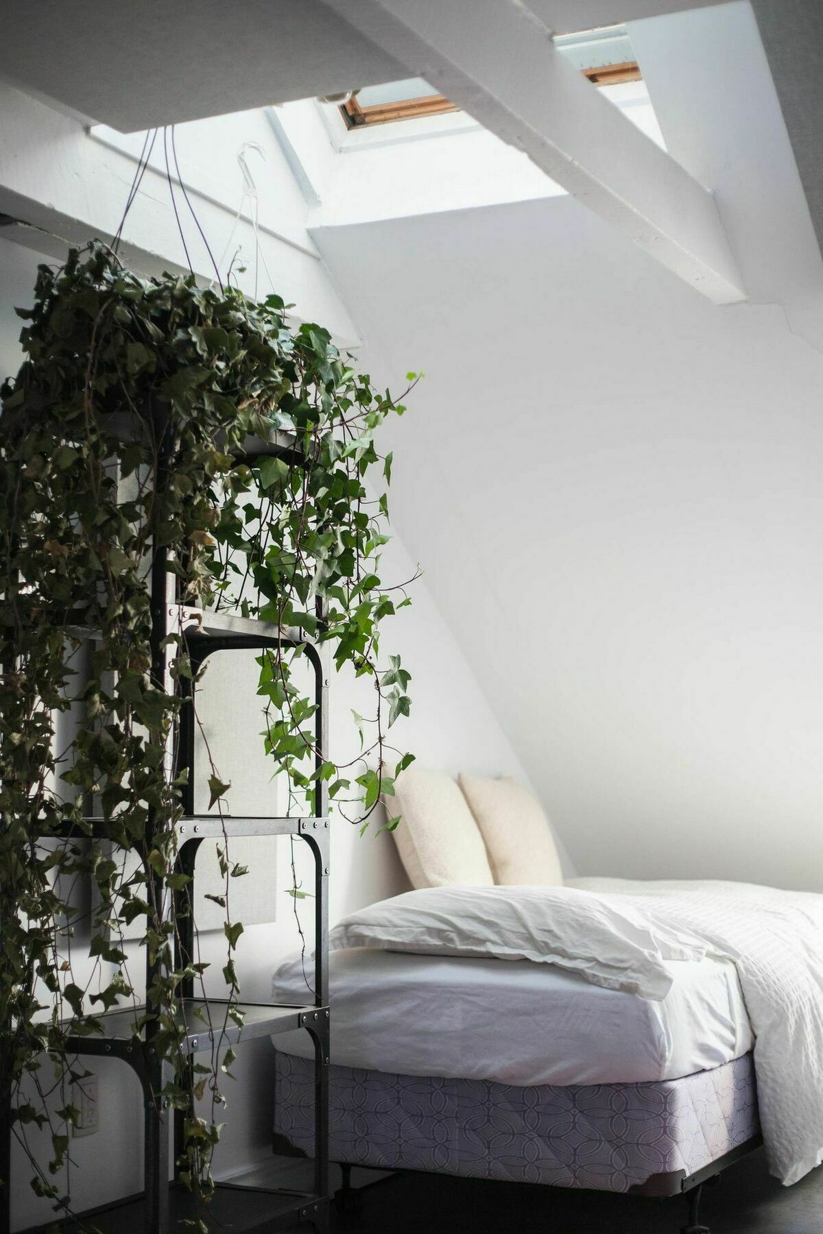 Hotel Hpg Griffintown 3*