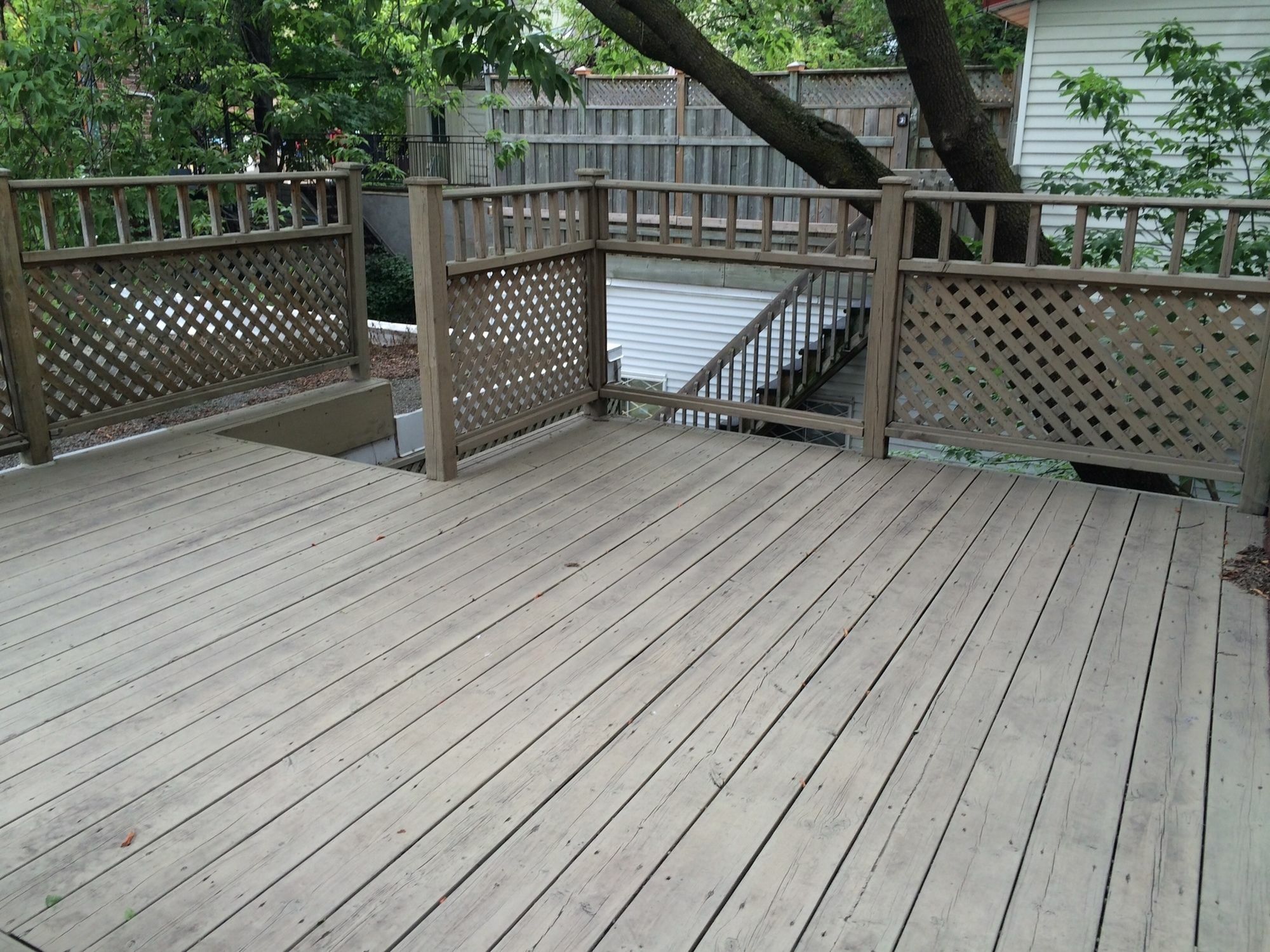 Unique 3br In Plateau By Sonder