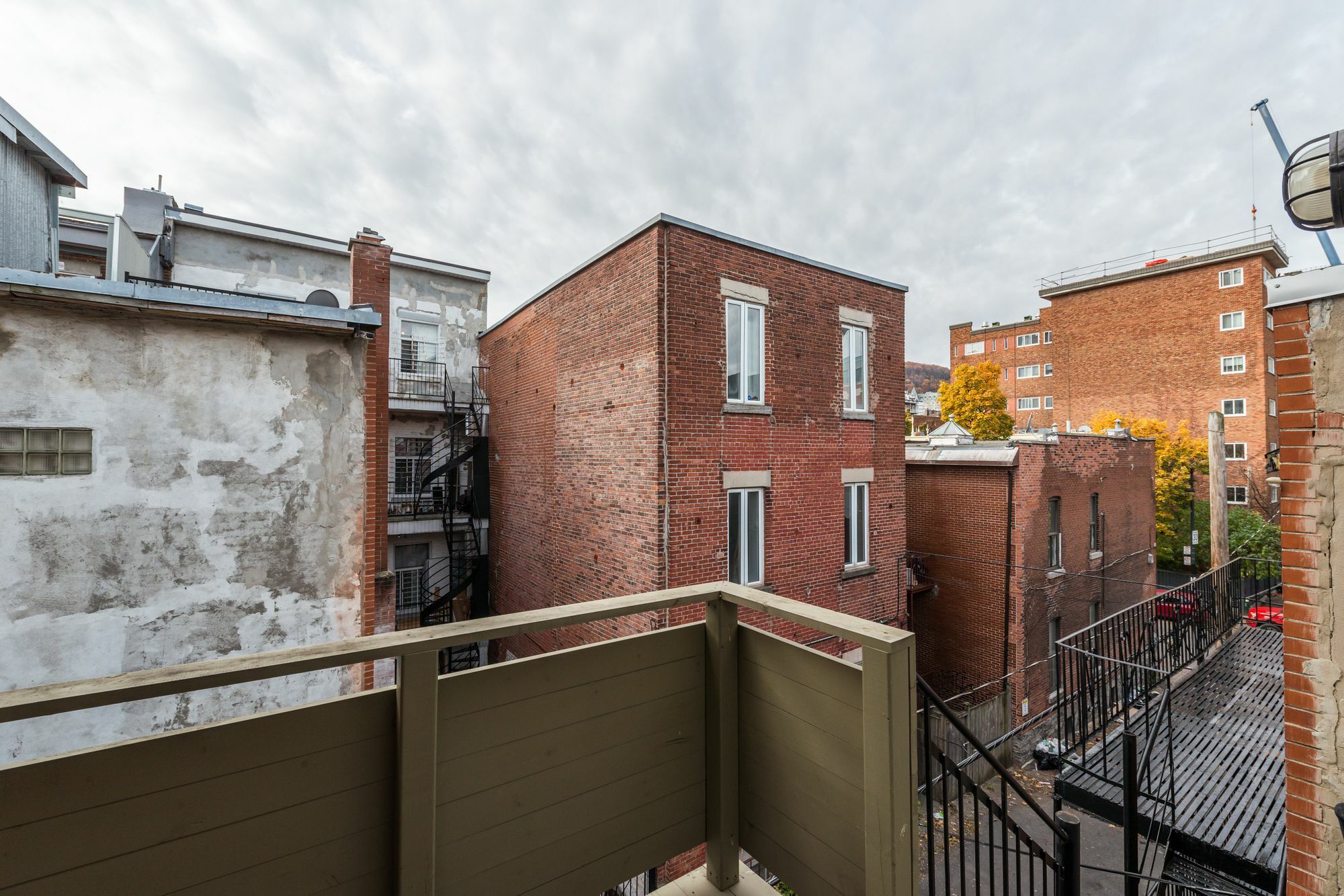 Apartment 3br In Plateau/downtown *