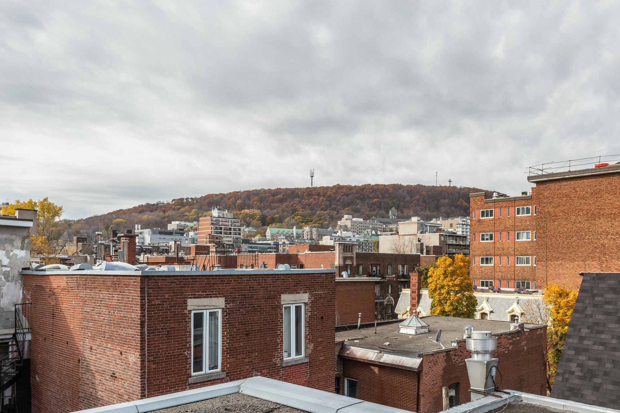 3br In Plateau/downtown Apartment Montreal