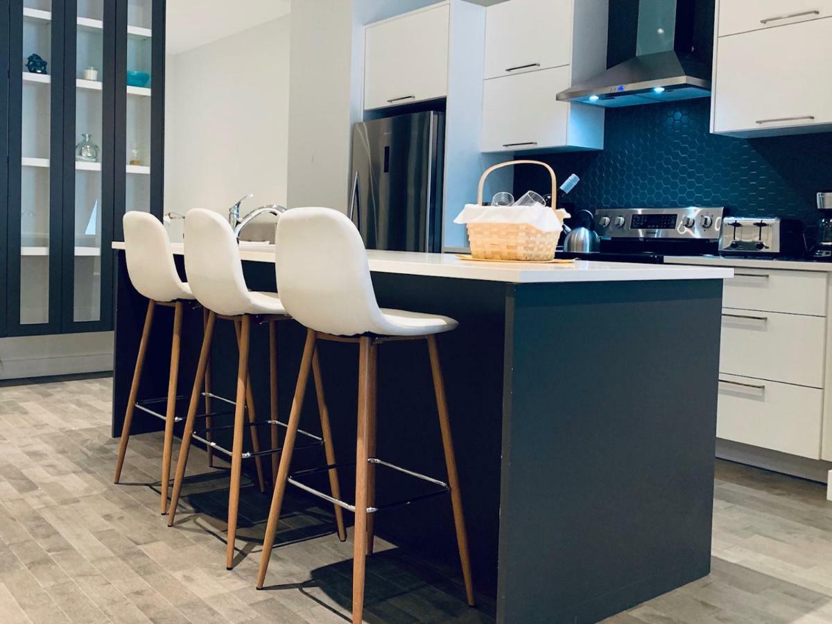 Sunny Fully Renovated In Saint Denis St Montreal