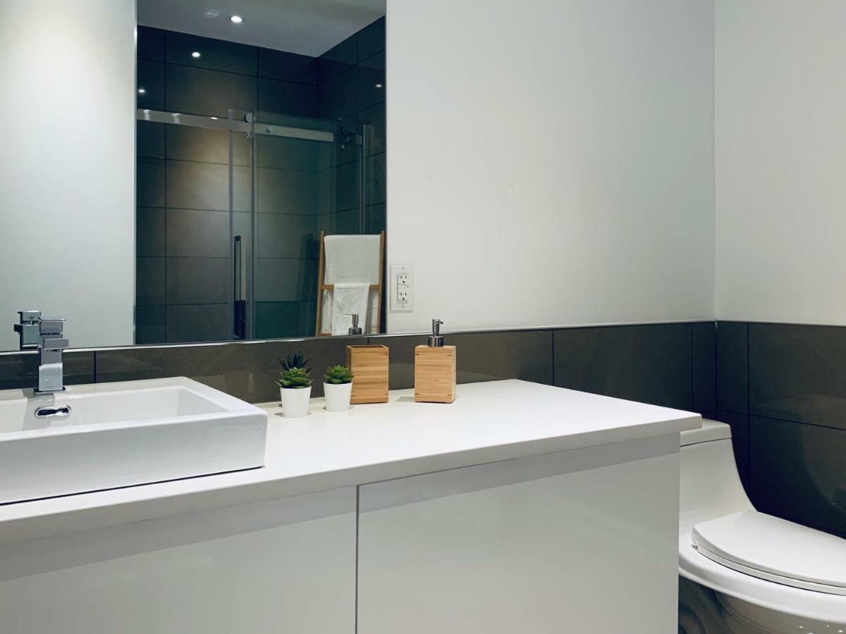 Sunny Fully Renovated In Saint Denis St * Montreal