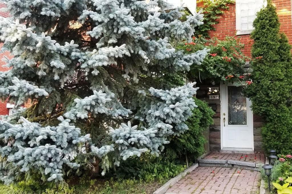 Mani's House For Lovely Families Montreal