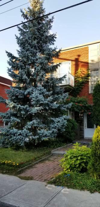 Mani's House For Lovely Families Montreal