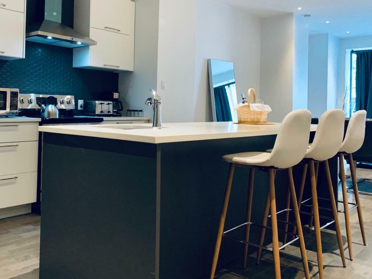 Sunny Fully Renovated In Saint Denis St * Montreal