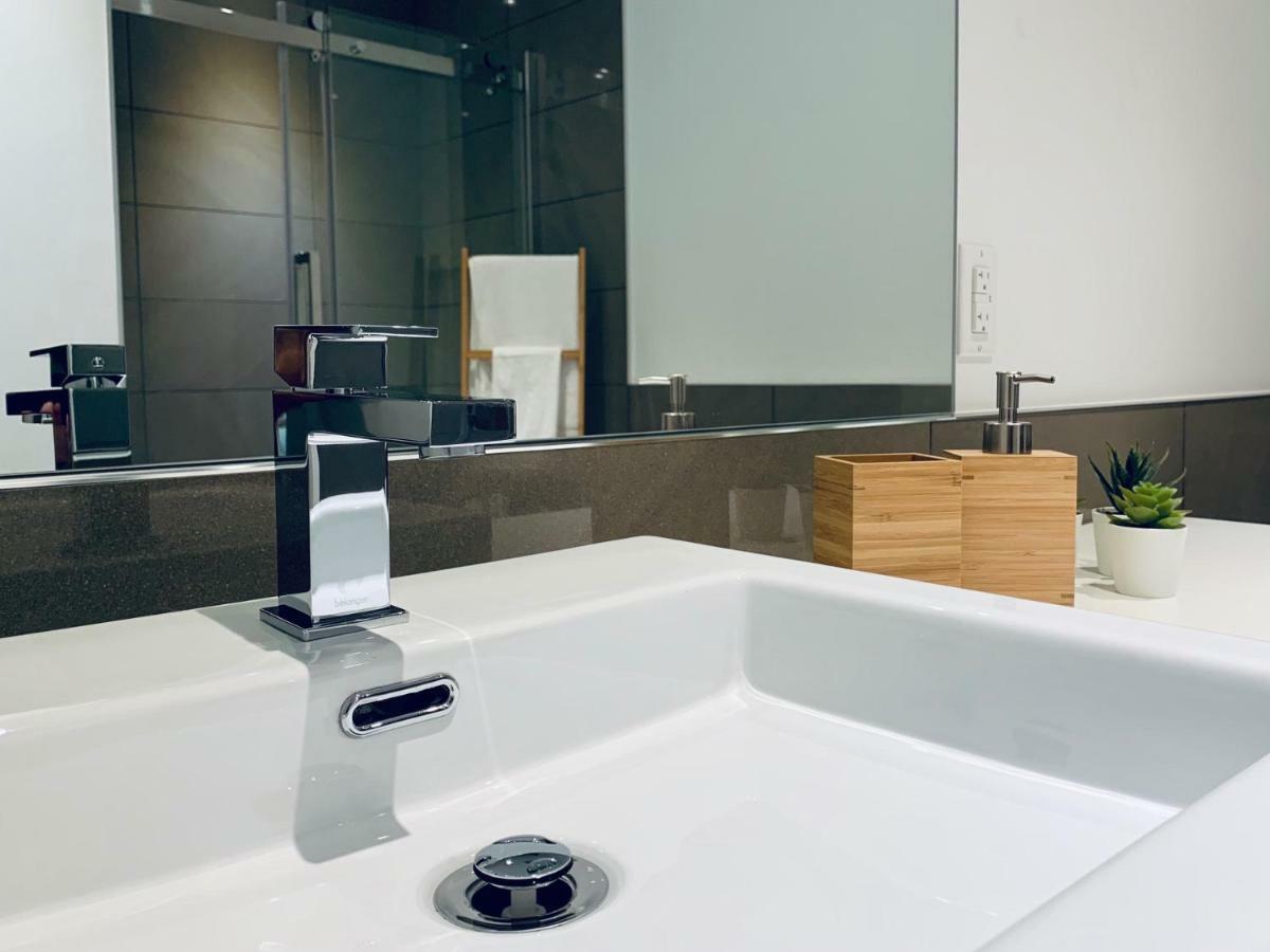 Sunny Fully Renovated In Saint Denis St