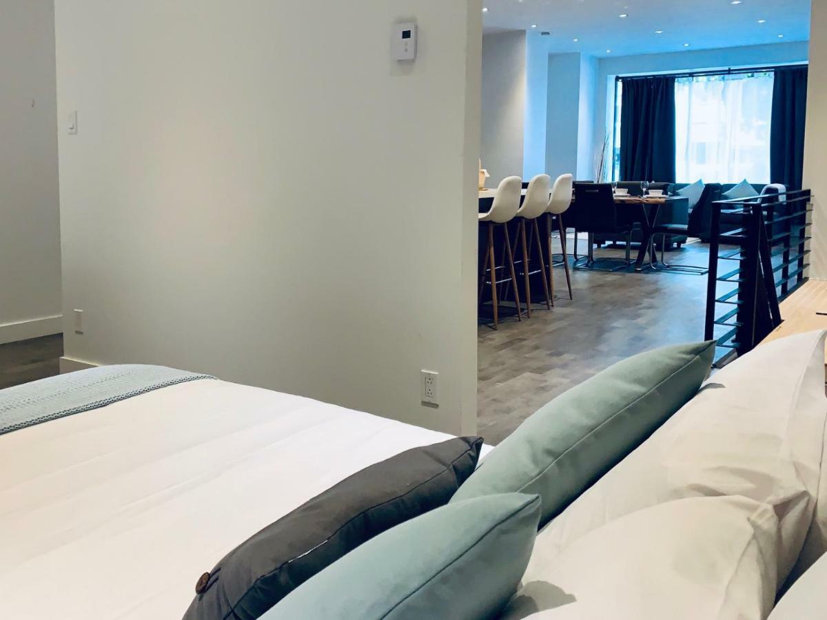 Sunny Fully Renovated In Saint Denis St Apartment