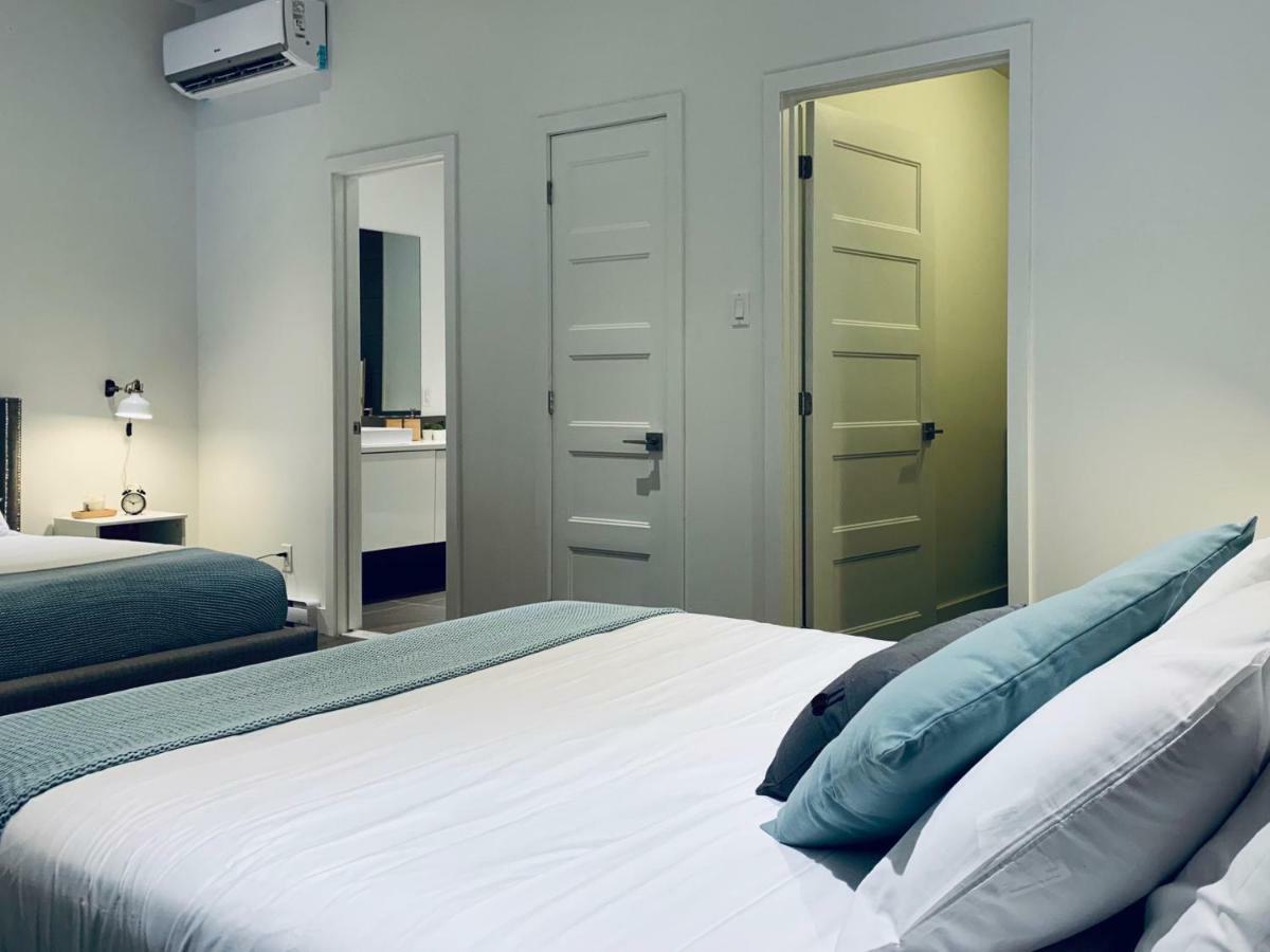 Sunny Fully Renovated In Saint Denis St Apartment