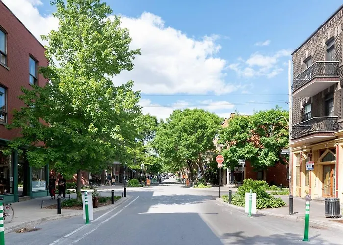 Location - Beautiful 3 Bedroom - Walkscore 100